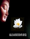 Phật nói Kinh
Đại báo Phụ Mẫu Trọng ân
