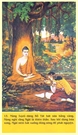 Bấm vào hình để xem slide Show