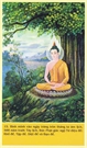 Bấm vào hình để xem slide Show