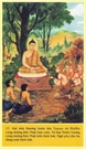 Bấm vào hình để xem slide Show