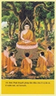 Bấm vào hình để xem slide Show
