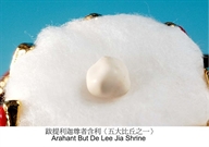 Bấm vào hình để xem slide Show