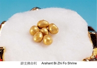 Bấm vào hình để xem slide Show