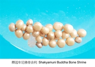 Bấm vào hình để xem slide Show