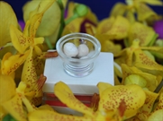Bấm vào hình để xem slide Show