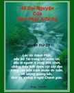 Bấm vào hình để xem slide Show