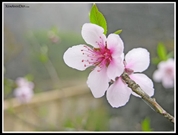 Bấm vào hình để xem slide Show