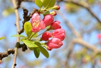 Bấm vào hình để xem slide Show