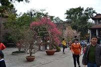 Bấm vào hình để xem slide Show