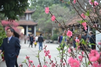 Bấm vào hình để xem slide Show