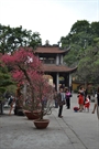 Bấm vào hình để xem slide Show