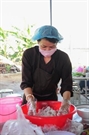 Bấm vào hình để xem slide Show