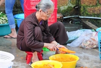 Bấm vào hình để xem slide Show