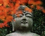Diệu nghĩa chữ 