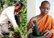 Thầy rắn lưỡi đen và nhà sư cứu người