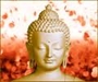 One View Sufi And Dzogchen Reflections