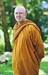 The Bhikkhuni question