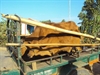 Đạo Tràng Phật Đắc giúp nhau sinh kế