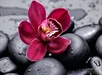 Người tu không sợ 'đói'