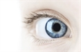 Top 6 Foods For Healthy Eyes And Better Vision