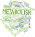 Drink Water For Fast Metabolism