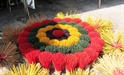 Ngày xuân dâng nén hương lòng