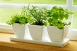 Đơn giản hóa cuộc sống
