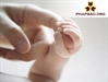 Bàn tay của mẹ, bài học của con