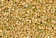 KHÁM PHÁ MỚI VỀ GẠO LỨC