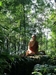 Contemporary China’s Mahāyāna Buddhist Sangha Education