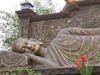 Generating the Bodhimind