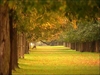 A Path to Psychological Freedom