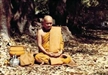 Zen Buddhist Perspectives on Modern Education