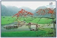 Một Sư cô nơi biên địa