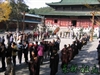Buddhist Charity and Community Work