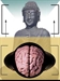 Relating Bhavana (Meditation) to daily Life