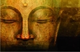 Những Bước Thăng Trầm