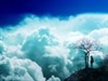 慧律法雨—修學佛法落實生活