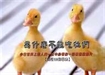 淨空法師說故事2：伍、善惡篇