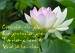 Tám Kệ Chuyển Hóa Tâm