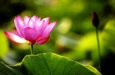 Đâu là đúng - Ra đường gặp gái thì xui?
