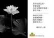 《雜阿含》等經與《瑜伽師地論》「體義伽他」之相互對照