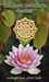 Timeless Quotes from The Buddha
