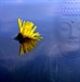 Buddha Quotes - 15 Inspirational Buddhist Quotes