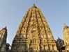 Mahabodhi temple agitation slowing down