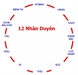 Tiến trình chuyển hóa mười hai nhân duyên