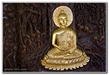 Tín và Tuệ trong Thiền