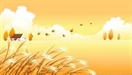 生活的藝術(2)