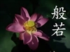 什麼是“般若”
