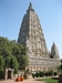 Ranchi IM men behind Bodh Gaya blast